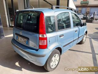 FIAT Panda usata 7
