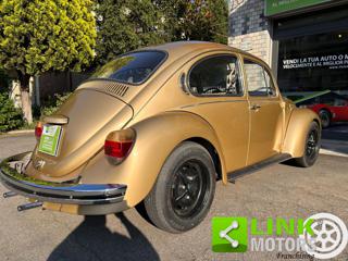 VOLKSWAGEN Maggiolone usata 12