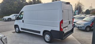 FIAT Ducato usata 12