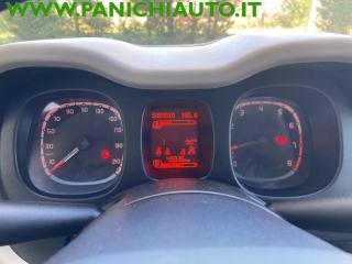 FIAT Panda usata 13