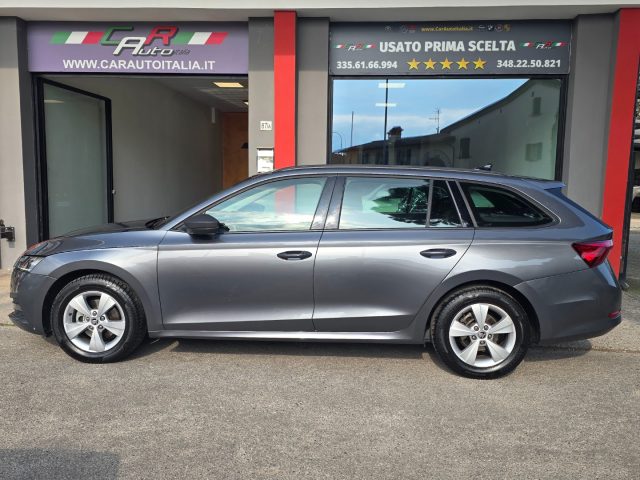 SKODA Octavia usata, con Fendinebbia