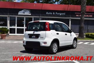 FIAT Panda usata, con Alzacristalli elettrici