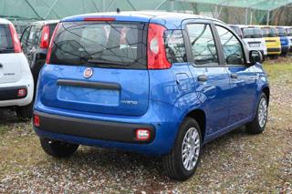 FIAT Panda usata, con Airbag laterali