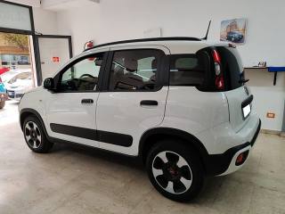 FIAT Panda Cross usata, con Antifurto