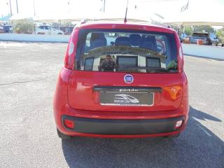 FIAT Panda usata, con Servosterzo