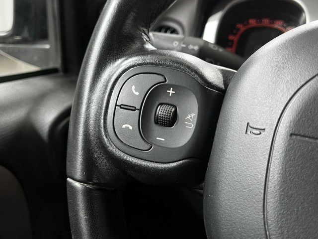FIAT Panda Cross usata 19