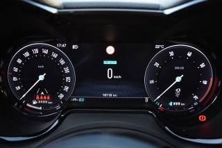 ALFA ROMEO Tonale usata, con Climatizzatore