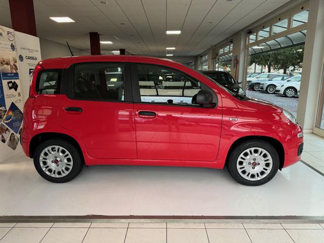 FIAT Panda usata, con Alzacristalli elettrici