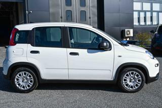 FIAT Panda usata, con Alzacristalli elettrici
