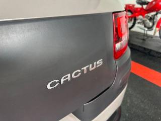 CITROEN C4 Cactus usata, con Sistema di navigazione