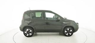 FIAT Panda Cross usata, con Controllo trazione