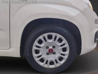 FIAT Panda usata 22