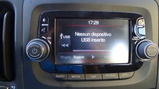 FIAT 500L usata 107