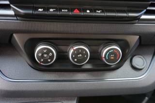 RENAULT Trafic usata, con Filtro antiparticolato