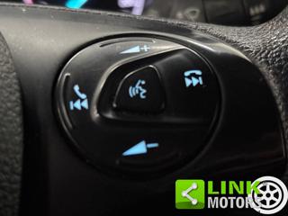 FORD Transit Connect usata, con Streaming musicale integrato