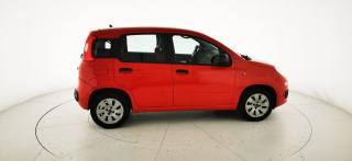 FIAT Panda usata 18