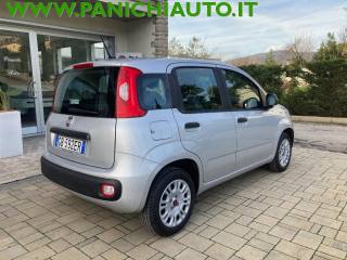 FIAT Panda usata, con Autoradio