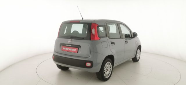 FIAT Panda usata 6