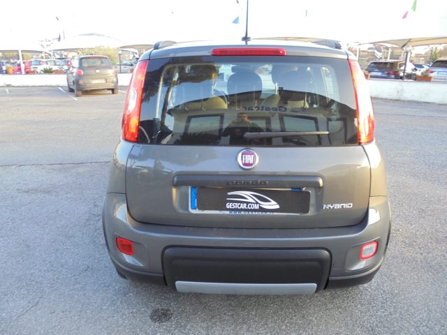 FIAT Panda usata 14