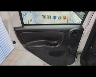 FIAT New Panda usata 17