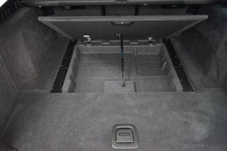 BMW 520 usata, con Telecamera per parcheggio assistito