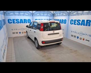 FIAT Panda usata, con Alzacristalli elettrici