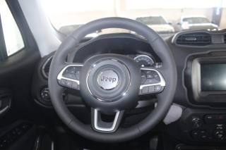 JEEP Renegade usata, con Cruise Control