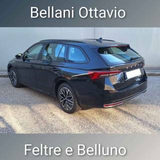 SKODA Octavia usata, con Controllo trazione