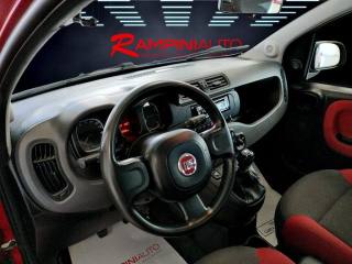FIAT Panda usata 13