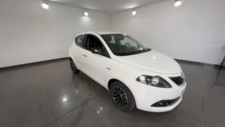 LANCIA Ypsilon 1.0 FireFly S&S Hybrid Platino - VARI COLORI!
