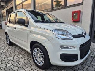 FIAT Panda Panda 1.0 firefly hybrid s