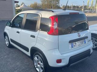 FIAT Panda usata, con Cronologia tagliandi