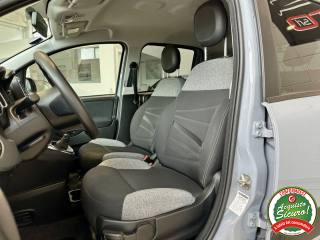 FIAT Panda usata, con Controllo trazione
