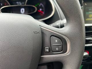 RENAULT Clio usata 19
