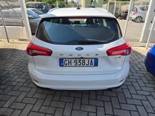 FORD Focus usata, con Climatizzatore