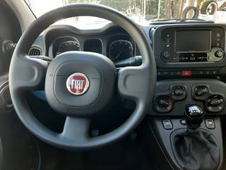 FIAT Panda usata, con Bluetooth