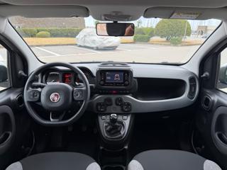 FIAT Panda usata, con Cronologia tagliandi