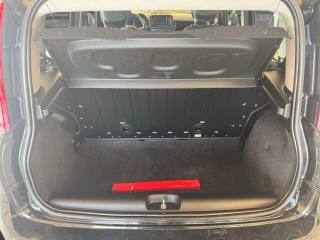 FIAT Panda usata 13