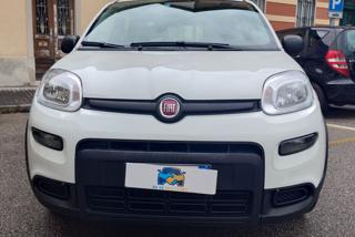 FIAT Panda usata, con Vivavoce