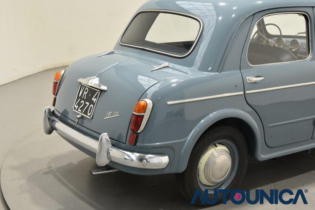 FIAT 1100 usata 14