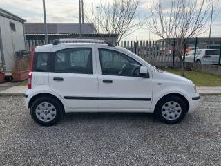 FIAT Panda usata, con Airbag Passeggero