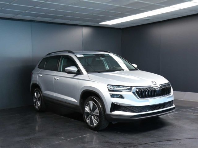 SKODA Karoq usata, con Airbag