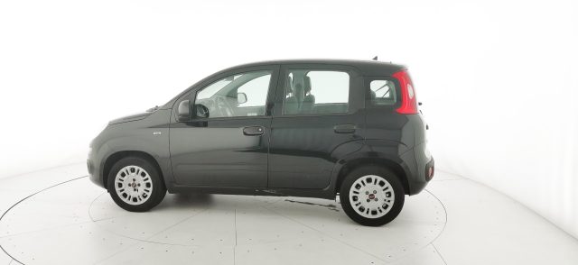FIAT Panda usata 21