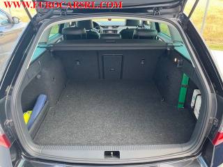 SKODA Octavia usata, con Fari LED