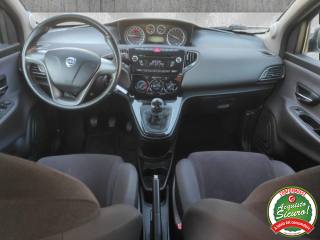 LANCIA Ypsilon usata 11
