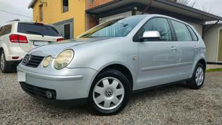 VOLKSWAGEN Polo usata, con Cerchi in lega