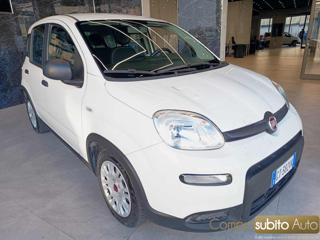 FIAT Panda usata, con Airbag Passeggero