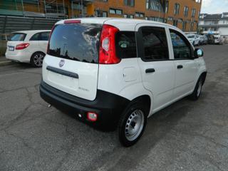 FIAT Panda usata, con Antifurto