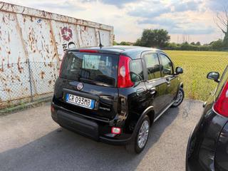 FIAT Panda usata, con Alzacristalli elettrici