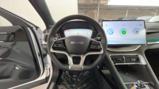 BYD Seal usata, con Bracciolo